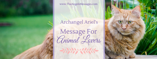 Archangel Ariel’s Message for Animal Lovers